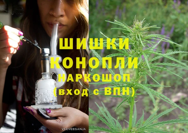 дмт Заводоуковск