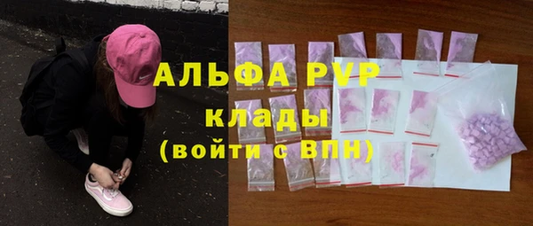 СК Зерноград