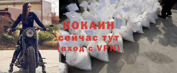 СК Зерноград