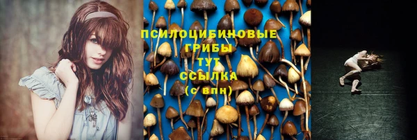 мет Зеленодольск