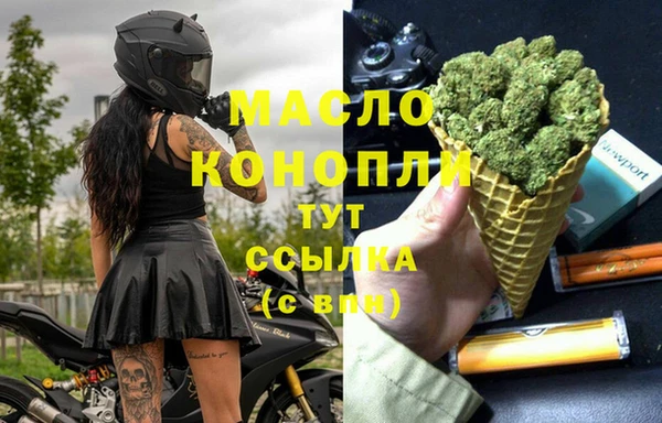 СК Зерноград