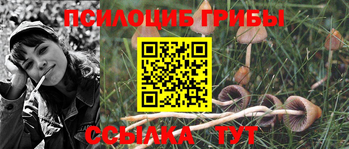 Галлюциногенные грибы MAGIC MUSHROOMS Тамбов