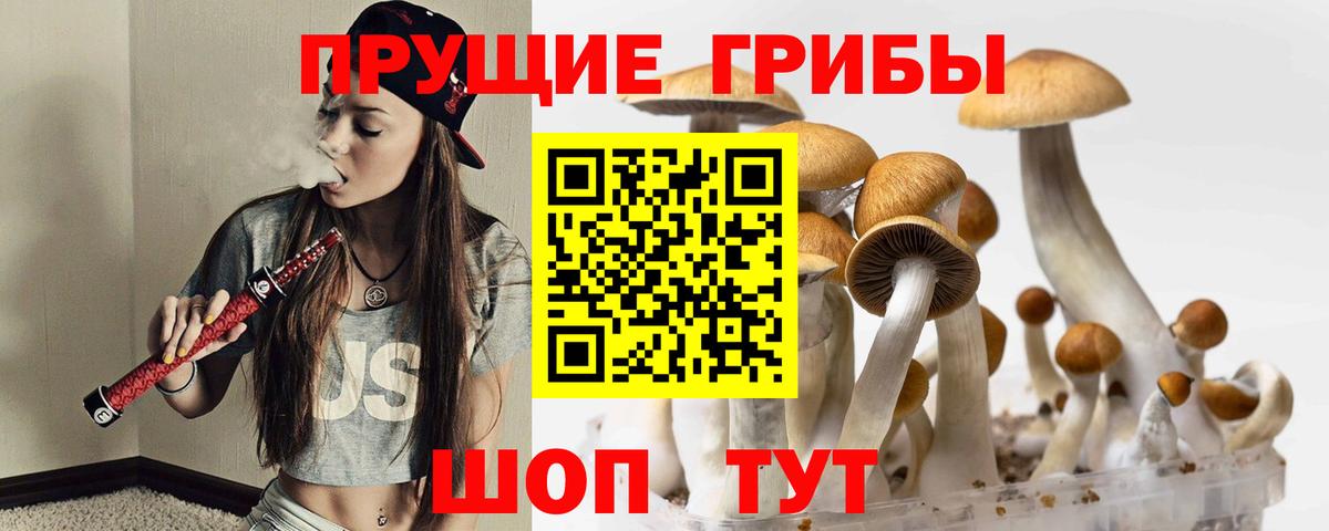 Галлюциногенные грибы Psilocybine cubensis  Вход с VPN  наркошоп  Тамбов 